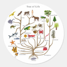 Arbre de la vie adhésifs ronds