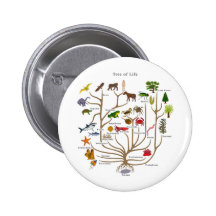 Arbre de la vie badges avec agrafe