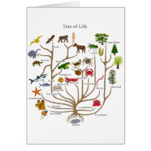 Arbre de la vie cartes de vœux
