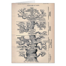 Arbre de la vie/de pedigree de l'homme cartes de vœux