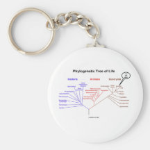 Arbre de la vie phylogénétique - vous êtes ici (la porte-clefs