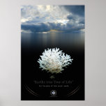 ARBRE DE LA VIE POSTERS