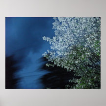 Arbre de neige posters