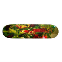 Arbre de Noël Skateboards Personnalisés