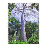 Arbre de Quipo Impression Sur Toile
