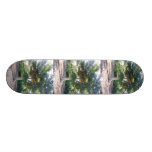 Arbre de Sagesse-planche à roulettes