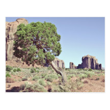 Arbre de vallée de monument carte postale