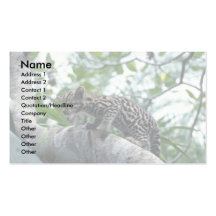 arbre d'escalade d'Ocelot-bébé Cartes De Visite Personnelles