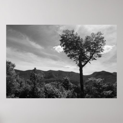 Arbre en forme de coeur affiches