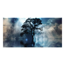 Arbre et eau photocarte customisée