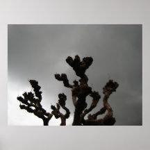 Arbre et nuages posters