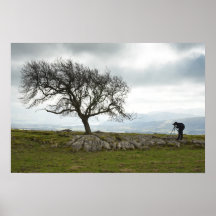 Arbre et photographe affiches