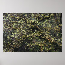 Arbre génial affiche