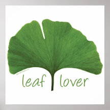 Arbre Hugger d'amant de feuille Poster