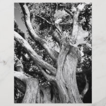 Arbre noir et blanc tract personnalisé