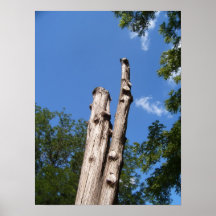 arbre noueux posters