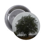 Arbre occidental de Seattle Badges Avec Agrafe