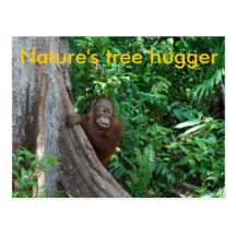 Arbre original Hugger de carte postale de nature