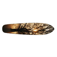 Arbre Skateboard