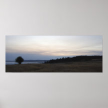 Arbre solitaire posters