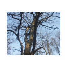 arbre toiles tendues sur châssis