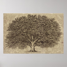Arbre vintage posters
