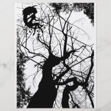 ARBRE WEBBY FÉERIQUE B&W PROSPECTUS PERSONNALISÉS