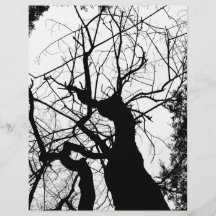 ARBRE WEBBY NOIR ET BLANC PROSPECTUS