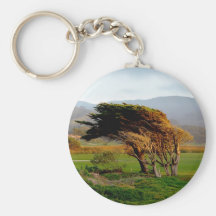 Arbres balayés par le vent porte-clés