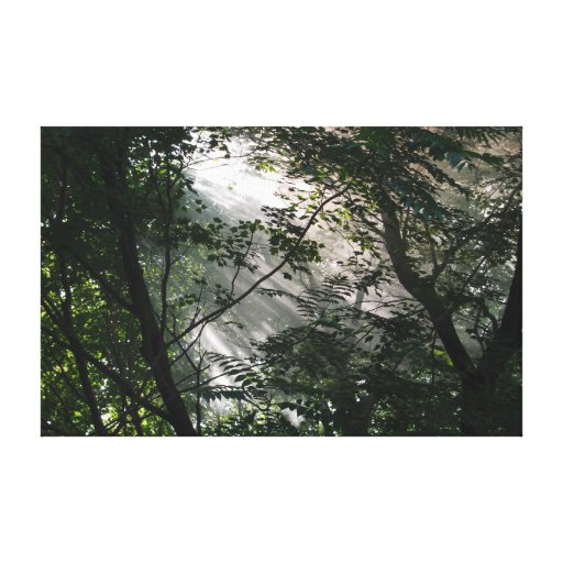 Arbres brumeux impression sur toile