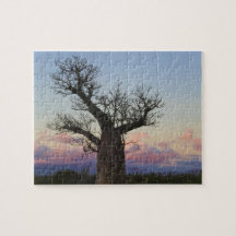 Arbres de baobab, Berenty, Toliara, Madagascar Puzzles Avec Photo