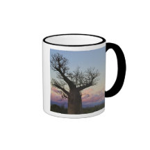 Arbres de baobab, Berenty, Toliara, Madagascar Tasses