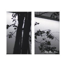 Arbres de Chicago : Une affaire noire et blanche Impressions Sur Toile