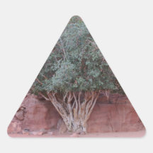 Arbres de désert adhésif