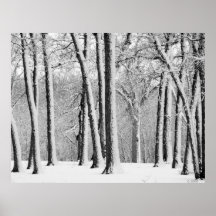 Arbres de Milou Posters