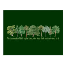 Arbres de plante carte postale