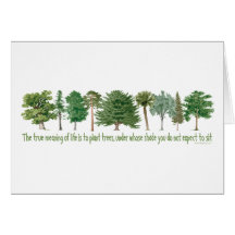 Arbres de plante cartes de vœux