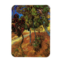 Arbres de Van Gogh dans le jardin, hôpital de St P Magnets Rectangulaire