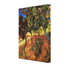 Arbres de Van Gogh dans le jardin, hôpital de St P Toile Tendue