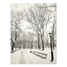 Arbres d'hiver couverts dans la neige photos