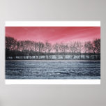 Arbres du Texas Affiches