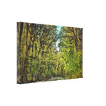 Arbres Impressions Sur Toile