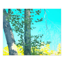 Arbres jumeaux photographies d’art