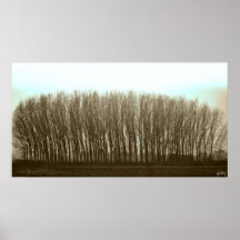 arbres posters