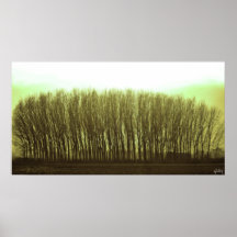 arbres posters