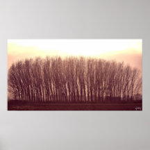 arbres posters