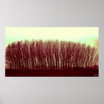 arbres posters