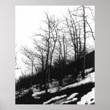 Arbres Posters