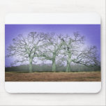 Arbres Tapis De Souris