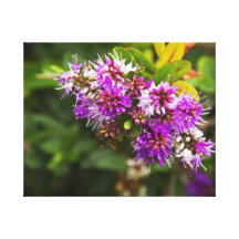 Arbuste floral pourpre toile tendue
